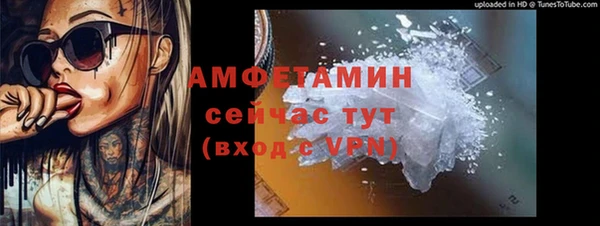метадон Алексин