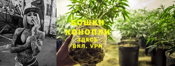 МДПВ Лиски