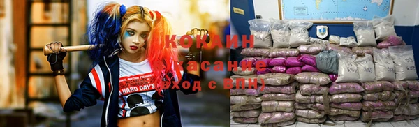 дживик Аркадак